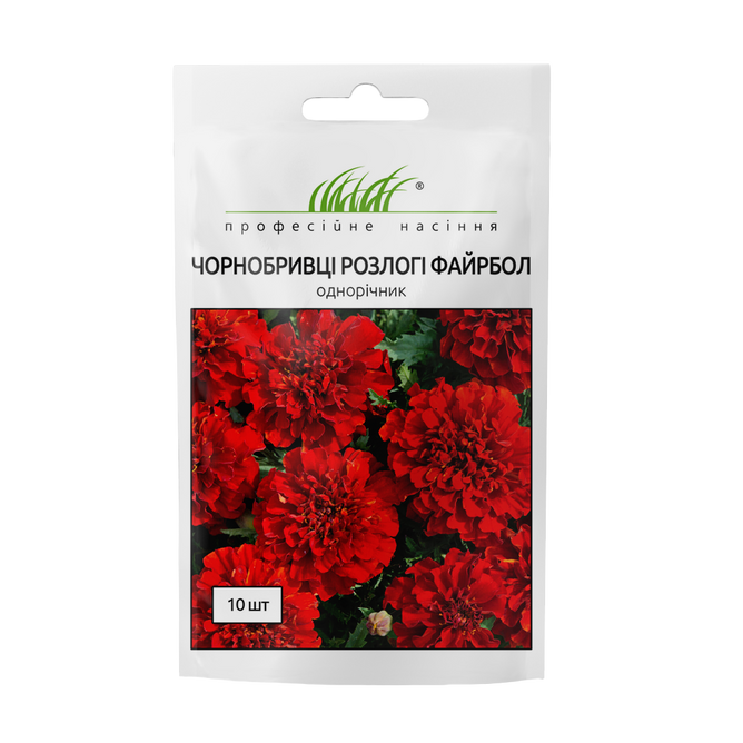 Чорнобривці розлогі Файрбол