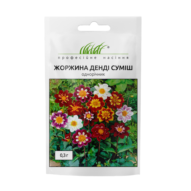 Жоржина низькоросла Денді суміш