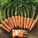 Морковь Мирафлорес F1 (Фасовка: 100 000шт калібр)