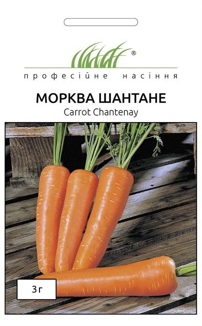Морква Шантане (Фасовка: 500 г)