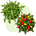 Балконная грядка