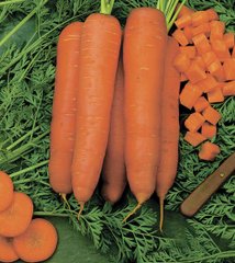 Морковь Скарла (Фасовка: 500 гр)
