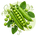 Семена гороха
