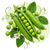 Семена гороха