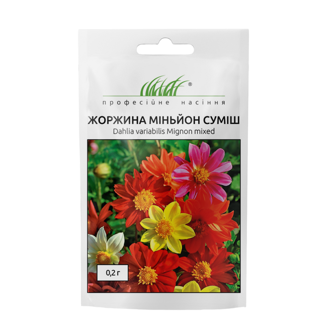Георгина низкорослая Миньон смесь