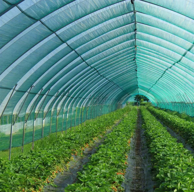 Сітка затіняюча Agreen 85% 4,0*10 м, 10 м