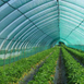 Сітка затіняюча Agreen 85% 4,0*10 м, 10 м