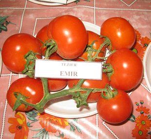 Томат Эмир F1 (Фасовка: 500 шт)