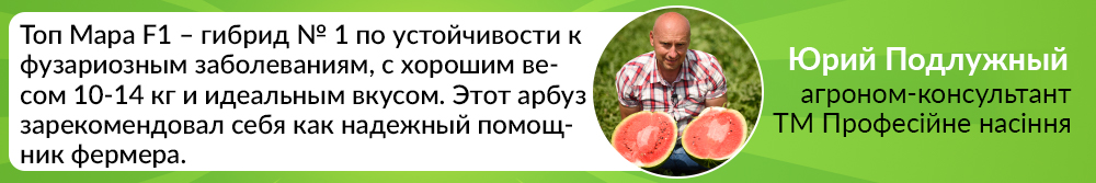Арбуз Топ Мара F1 семена купить в Украине - фото, отзывы, описание